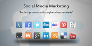 Social Media Marketing Expert