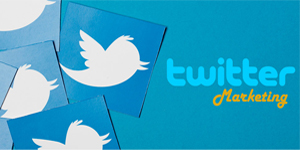 Twitter Training Program