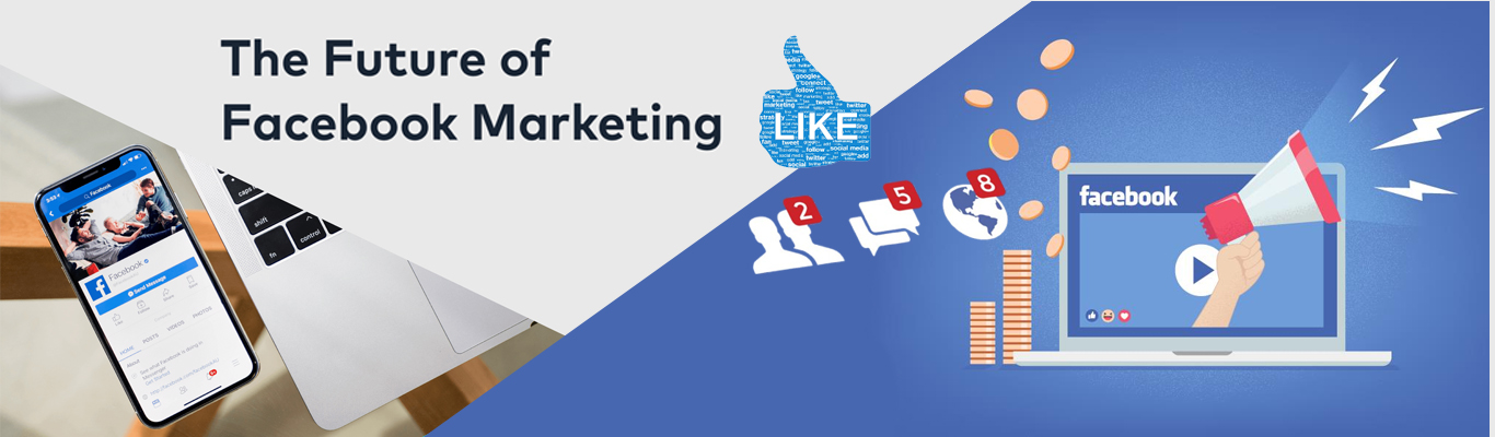 facebook marketing strategy training in Noida