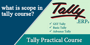Tally Training Course in Noida