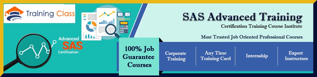 SAS Advanced Training Course in Noida & Delhi NCR